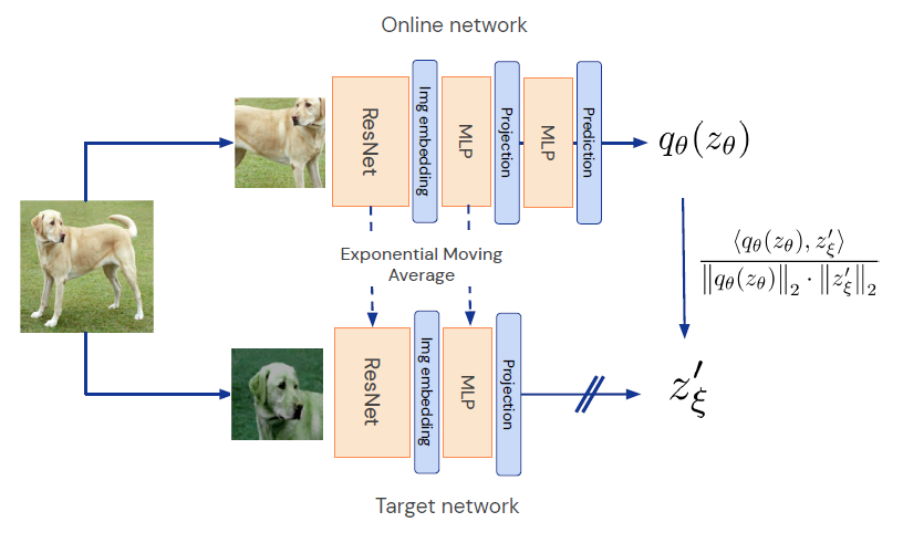 notes-on-vision-models